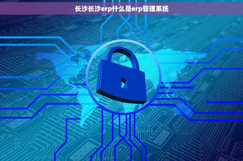 长沙长沙erp什么是erp管理系统