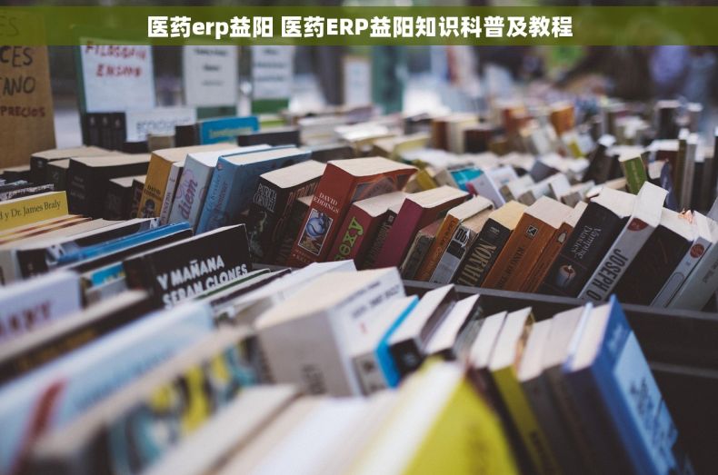 医药erp益阳 医药ERP益阳知识科普及教程