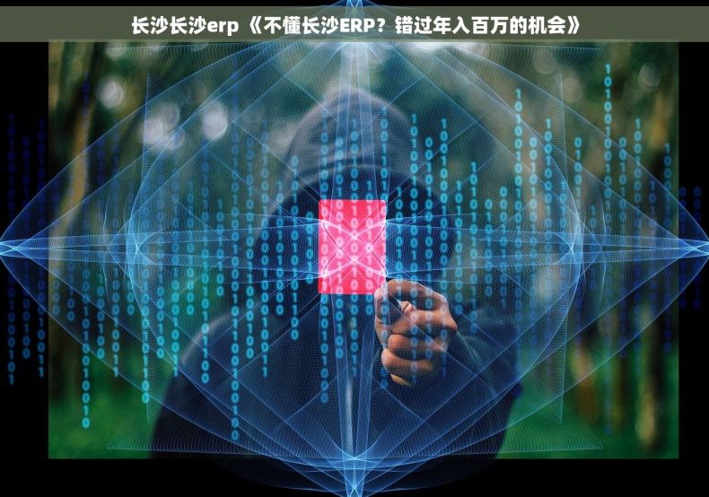 长沙长沙erp 《不懂长沙ERP？错过年入百万的机会》