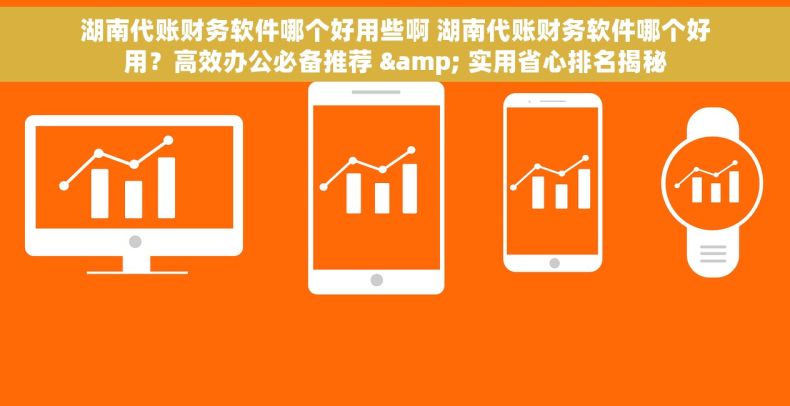 湖南代账财务软件哪个好用些啊 湖南代账财务软件哪个好用？高效办公必备推荐 & 实用省心排名揭秘