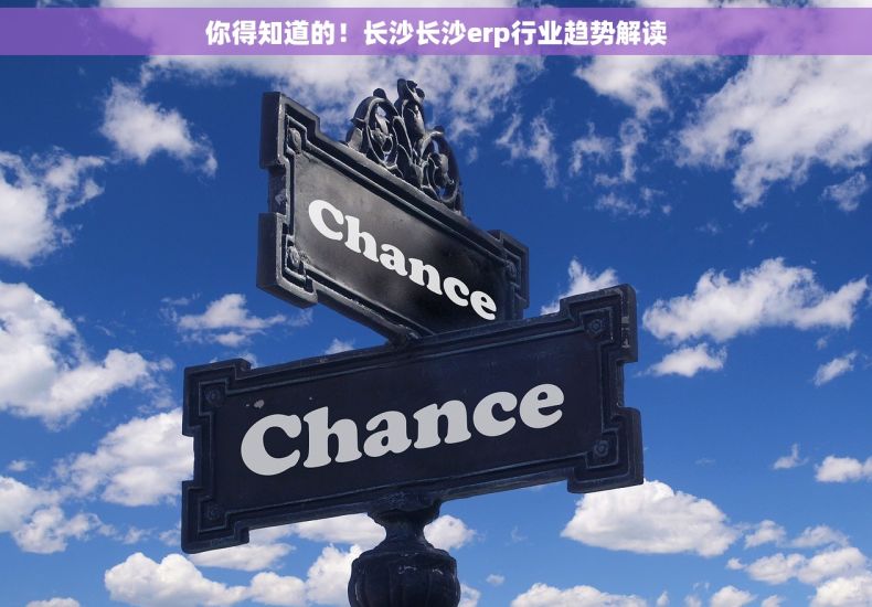 你得知道的！长沙长沙erp行业趋势解读
