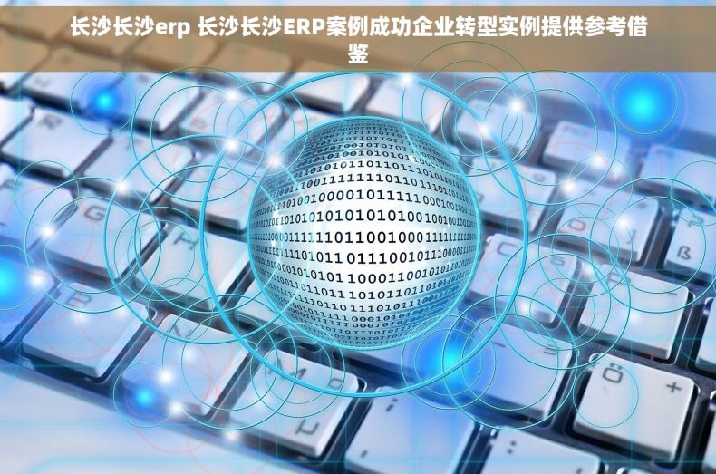 长沙长沙erp 长沙长沙ERP案例成功企业转型实例提供参考借鉴