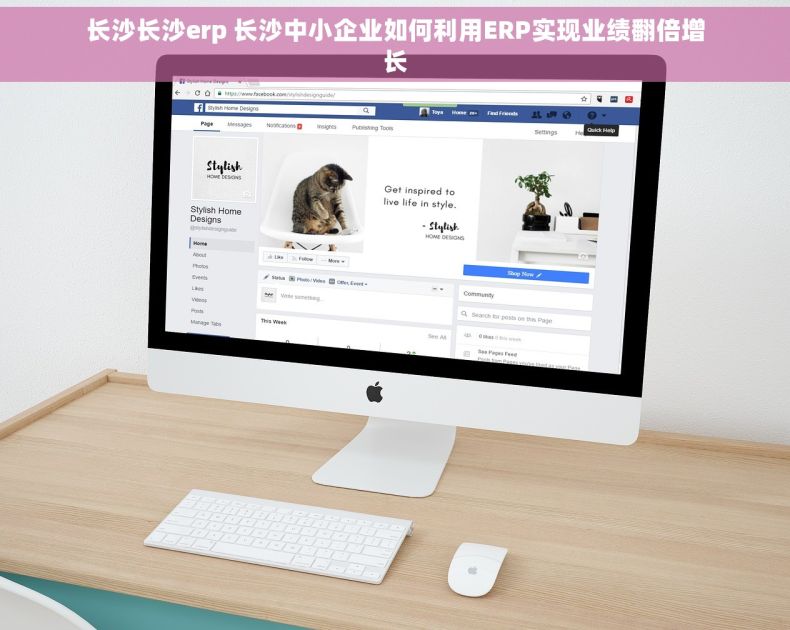 长沙长沙erp 长沙中小企业如何利用ERP实现业绩翻倍增长