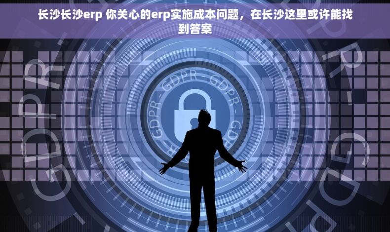 长沙长沙erp 你关心的erp实施成本问题，在长沙这里或许能找到答案