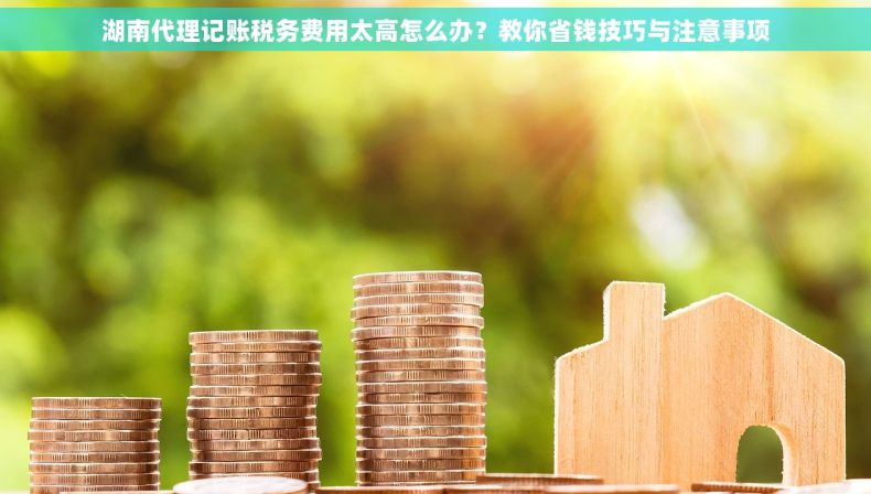 湖南代理记账税务费用太高怎么办？教你省钱技巧与注意事项