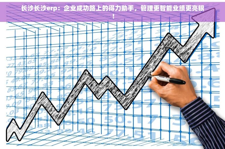长沙长沙erp：企业成功路上的得力助手，管理更智能业绩更亮眼！