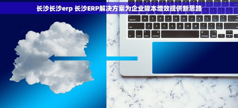 长沙长沙erp 长沙ERP解决方案为企业降本增效提供新思路
