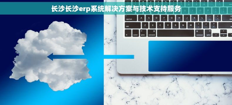 长沙长沙erp系统解决方案与技术支持服务