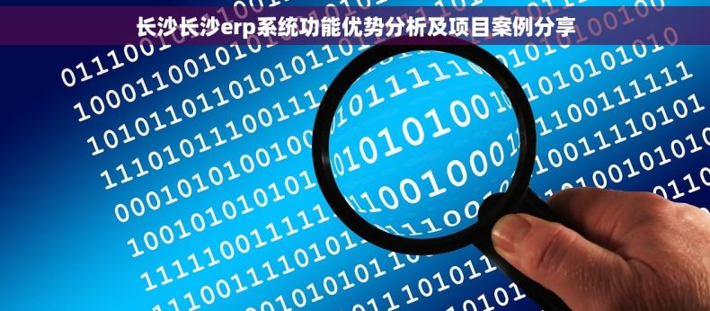 长沙长沙erp系统功能优势分析及项目案例分享