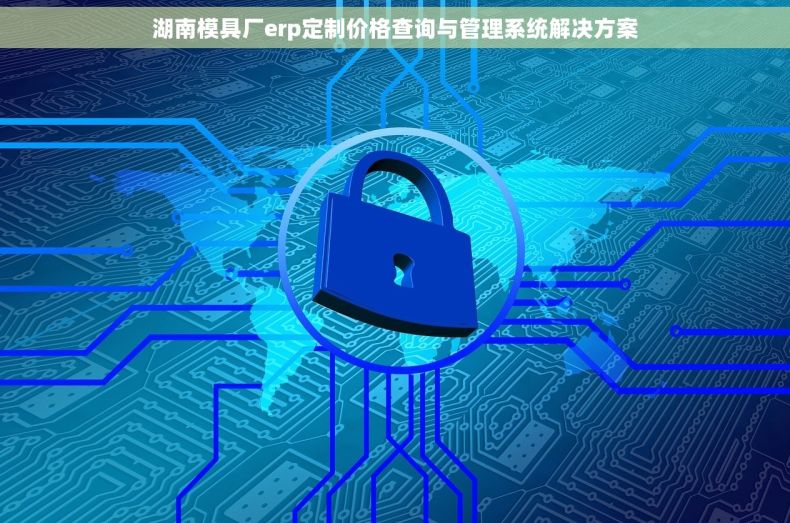 湖南模具厂erp定制价格查询与管理系统解决方案