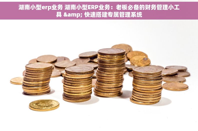 湖南小型erp业务 湖南小型ERP业务：老板必备的财务管理小工具 & 快速搭建专属管理系统