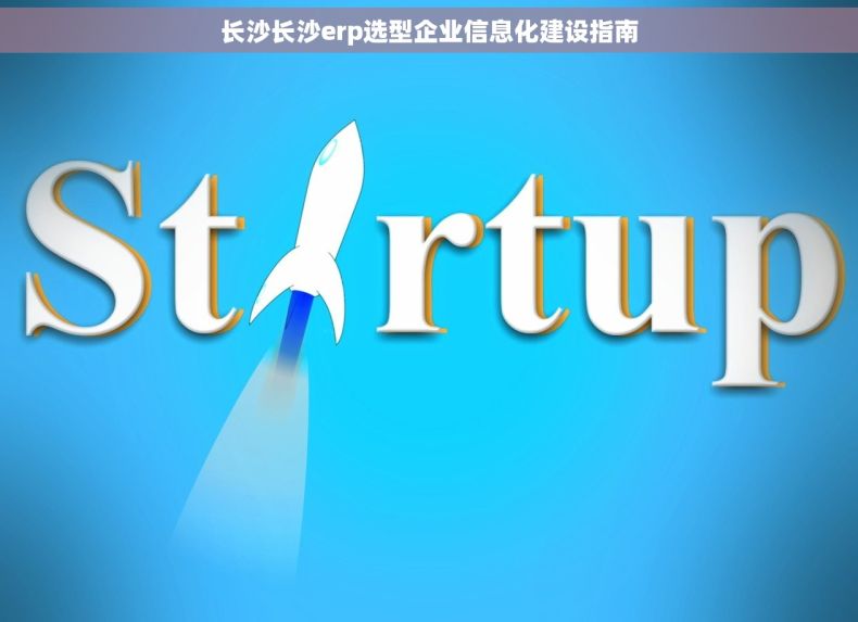 长沙长沙erp选型企业信息化建设指南