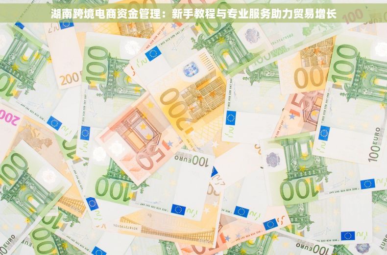 湖南跨境电商资金管理：新手教程与专业服务助力贸易增长