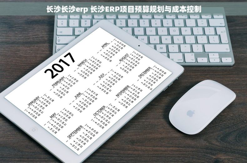 长沙长沙erp 长沙ERP项目预算规划与成本控制