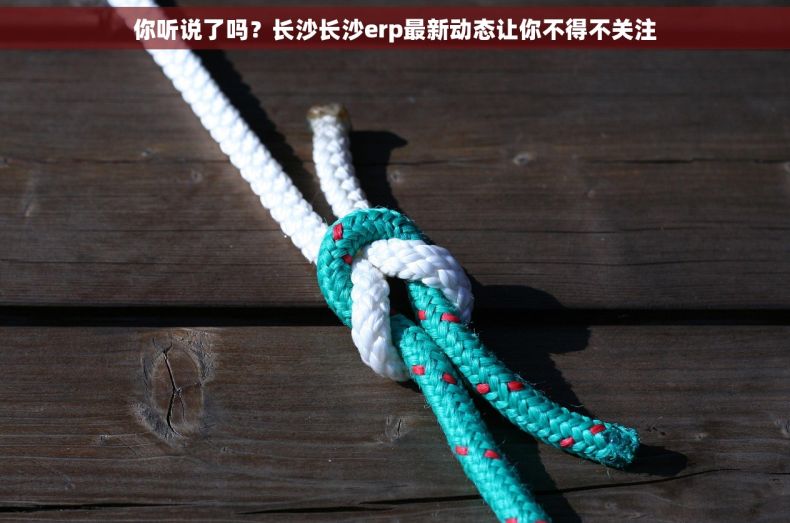 你听说了吗？长沙长沙erp最新动态让你不得不关注