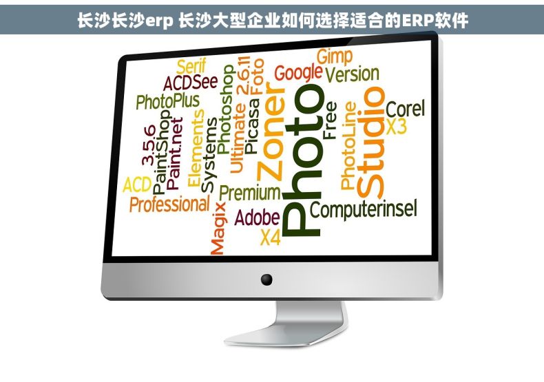 长沙长沙erp 长沙大型企业如何选择适合的ERP软件