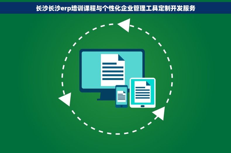 长沙长沙erp培训课程与个性化企业管理工具定制开发服务