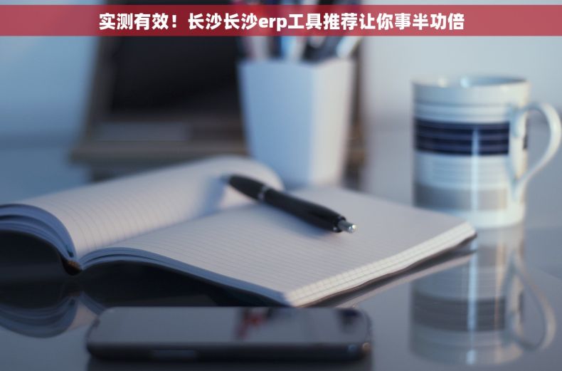 实测有效！长沙长沙erp工具推荐让你事半功倍