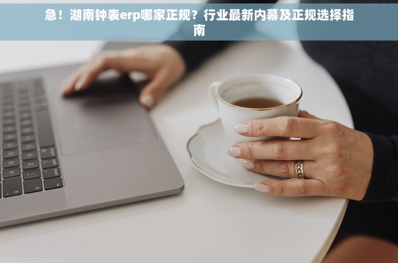 急！湖南钟表erp哪家正规？行业最新内幕及正规选择指南