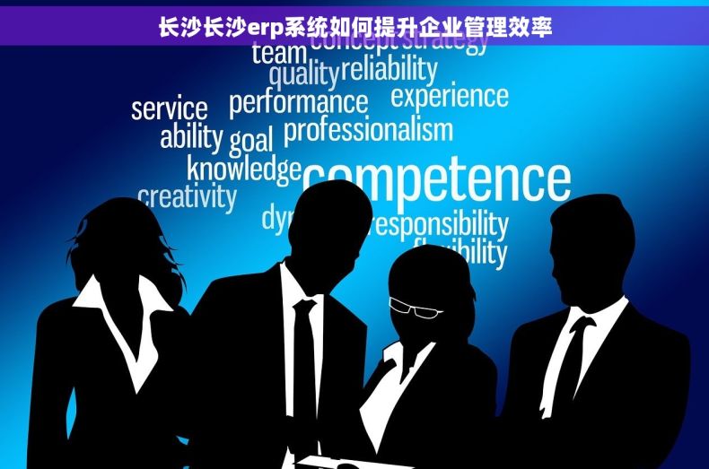长沙长沙erp系统如何提升企业管理效率