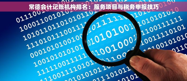 常德会计记账机构排名：服务项目与税务申报技巧