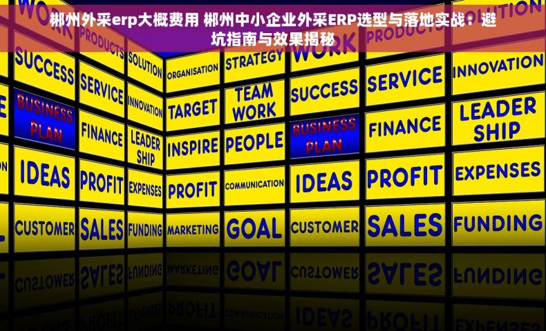 郴州外采erp大概费用 郴州中小企业外采ERP选型与落地实战：避坑指南与效果揭秘