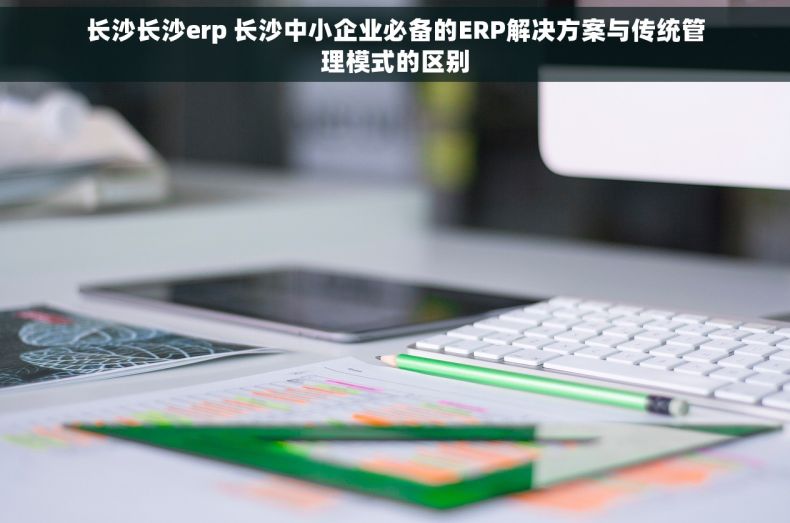 长沙长沙erp 长沙中小企业必备的ERP解决方案与传统管理模式的区别