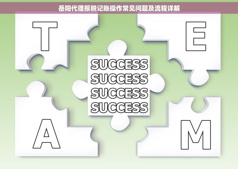 岳阳代理报税记账操作常见问题及流程详解