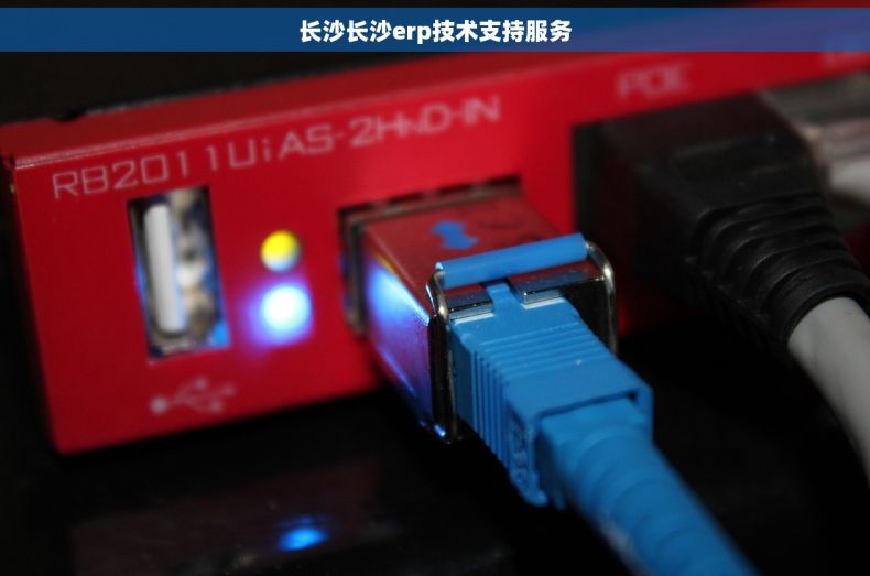 长沙长沙erp技术支持服务