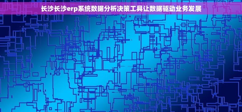 长沙长沙erp系统数据分析决策工具让数据驱动业务发展