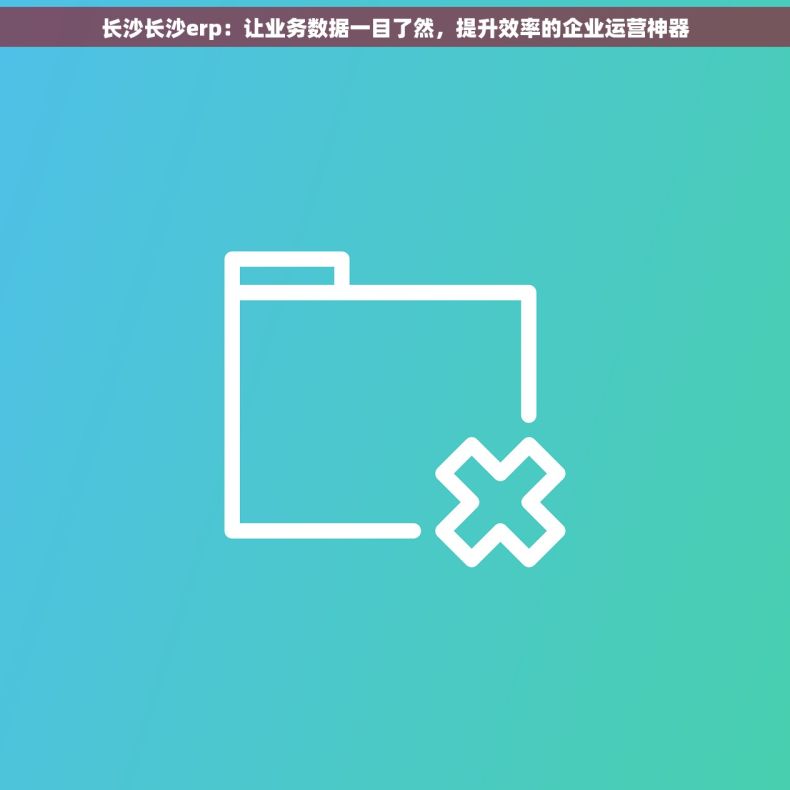 长沙长沙erp：让业务数据一目了然，提升效率的企业运营神器