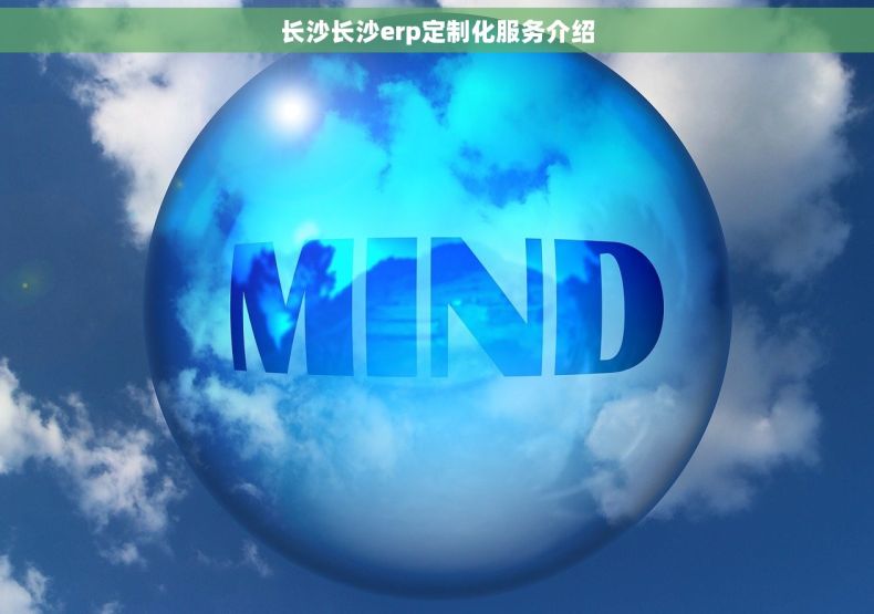 长沙长沙erp定制化服务介绍