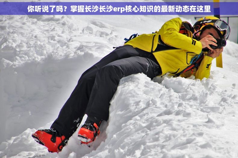 你听说了吗？掌握长沙长沙erp核心知识的最新动态在这里