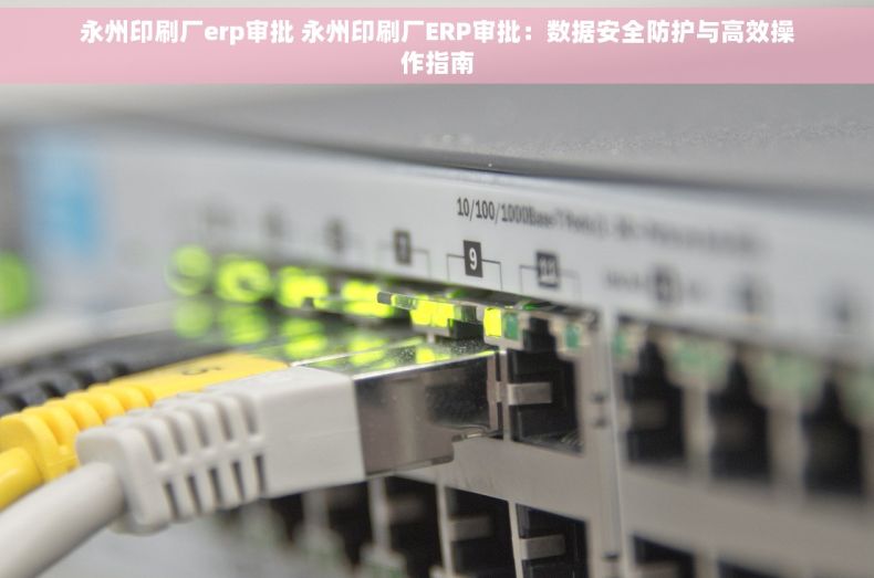 永州印刷厂erp审批 永州印刷厂ERP审批：数据安全防护与高效操作指南
