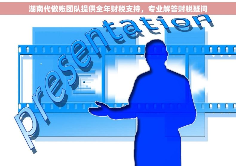 湖南代做账团队提供全年财税支持，专业解答财税疑问