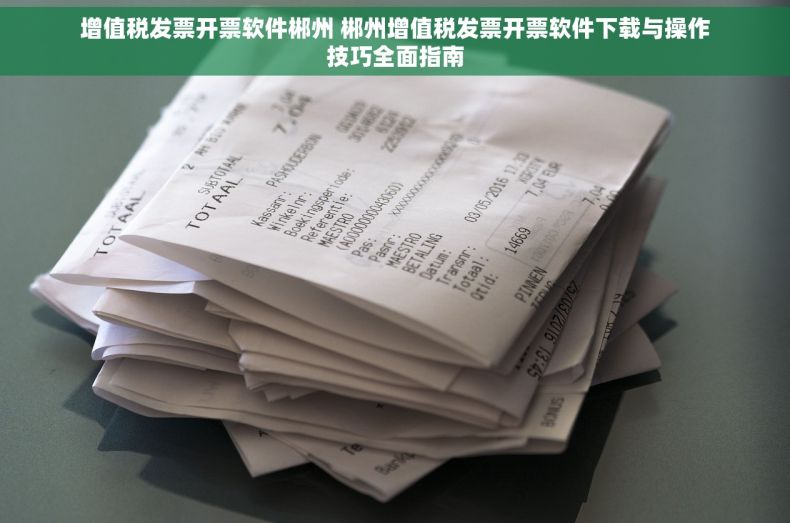 增值税发票开票软件郴州 郴州增值税发票开票软件下载与操作技巧全面指南