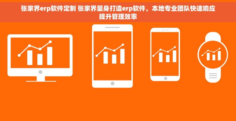 张家界erp软件定制 张家界量身打造erp软件，本地专业团队快速响应提升管理效率