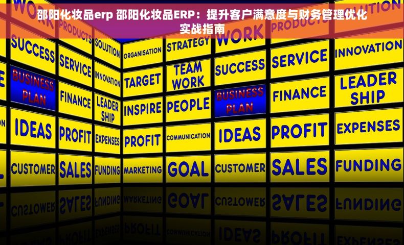 邵阳化妆品erp 邵阳化妆品ERP：提升客户满意度与财务管理优化实战指南