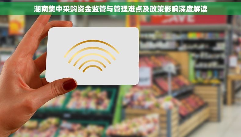 湖南集中采购资金监管与管理难点及政策影响深度解读
