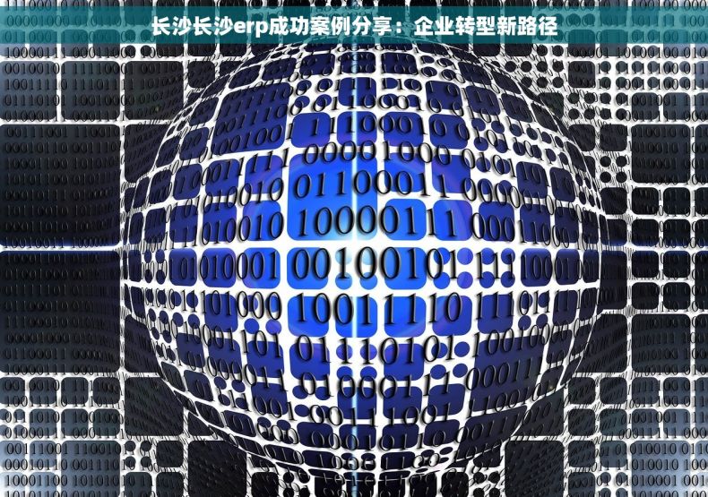 长沙长沙erp成功案例分享：企业转型新路径