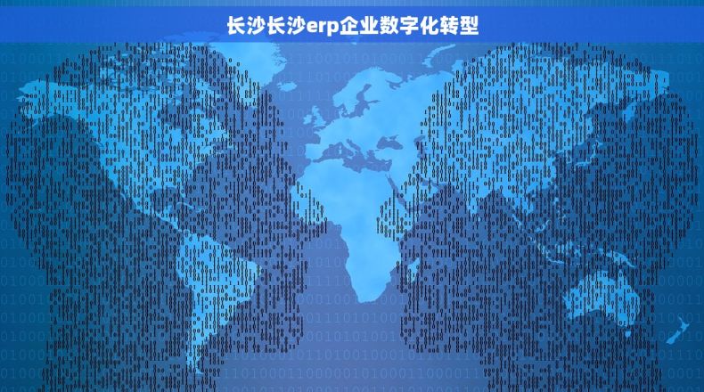 长沙长沙erp企业数字化转型