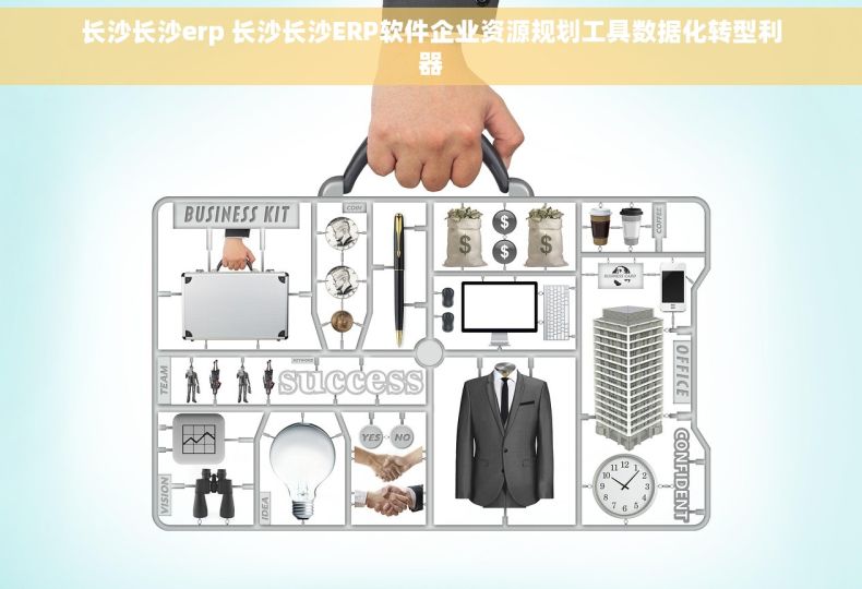 长沙长沙erp 长沙长沙ERP软件企业资源规划工具数据化转型利器