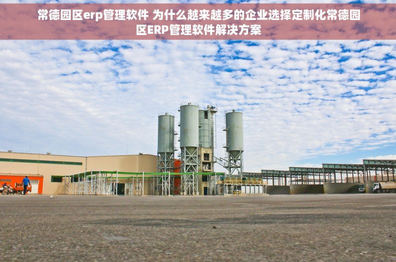 常德园区erp管理软件 为什么越来越多的企业选择定制化常德园区ERP管理软件解决方案