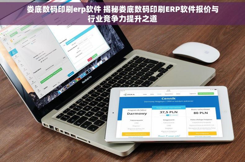 娄底数码印刷erp软件 揭秘娄底数码印刷ERP软件报价与行业竞争力提升之道