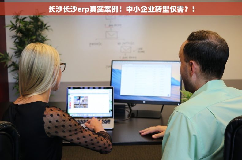 长沙长沙erp真实案例！中小企业转型仅需？！