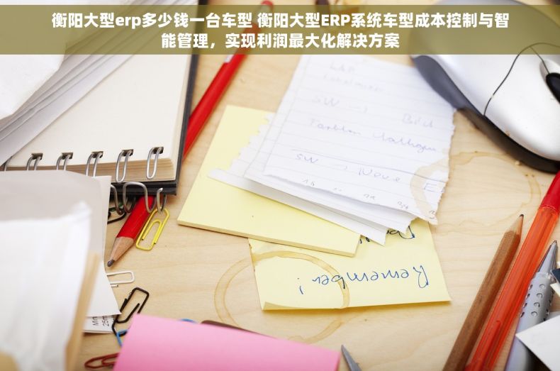 衡阳大型erp多少钱一台车型 衡阳大型ERP系统车型成本控制与智能管理，实现利润最大化解决方案