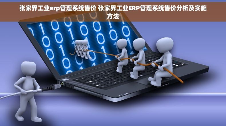 张家界工业erp管理系统售价 张家界工业ERP管理系统售价分析及实施方法