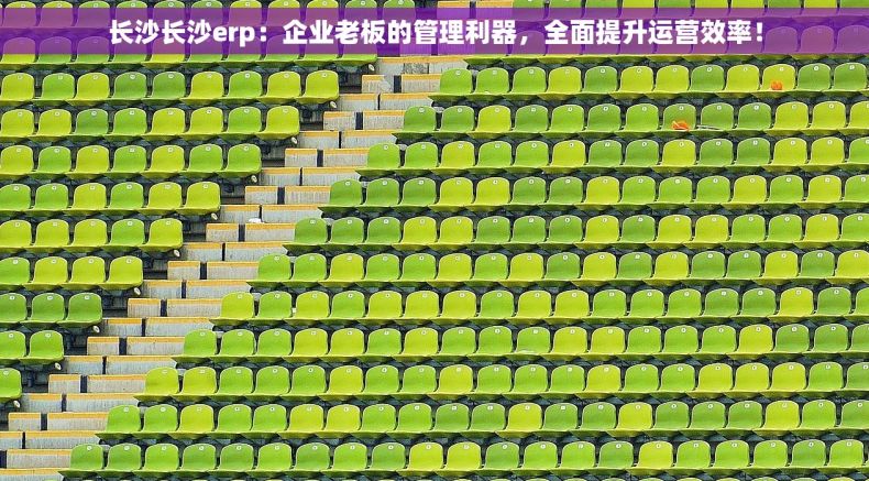 长沙长沙erp：企业老板的管理利器，全面提升运营效率！