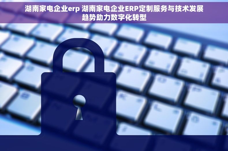 湖南家电企业erp 湖南家电企业ERP定制服务与技术发展趋势助力数字化转型