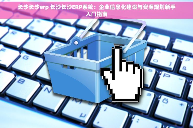 长沙长沙erp 长沙长沙ERP系统：企业信息化建设与资源规划新手入门指南